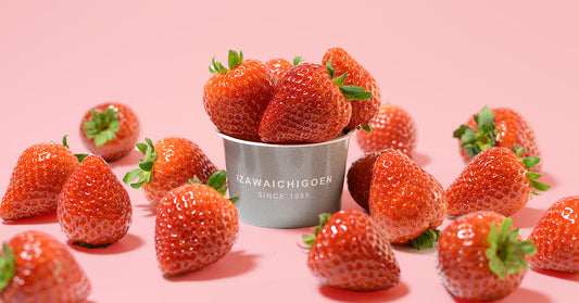 1年越し!?ようやくオンラインショップのリニューアルが完成！